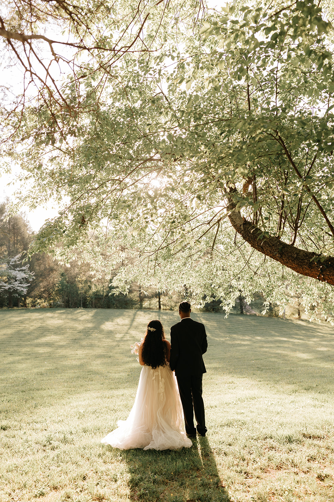 Twisty Maple Styled Shoot - Darrell Cassell